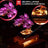 Lichtset für Bonsai Baum 10281