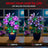 Briksmax 2.0 Light Kit For LEGO Hibiscus #10372 -3
