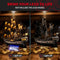 Briksmax 2.0 Light Kit For LEGO Captain Jack Sparrow's Pirate Ship  #10365- 2