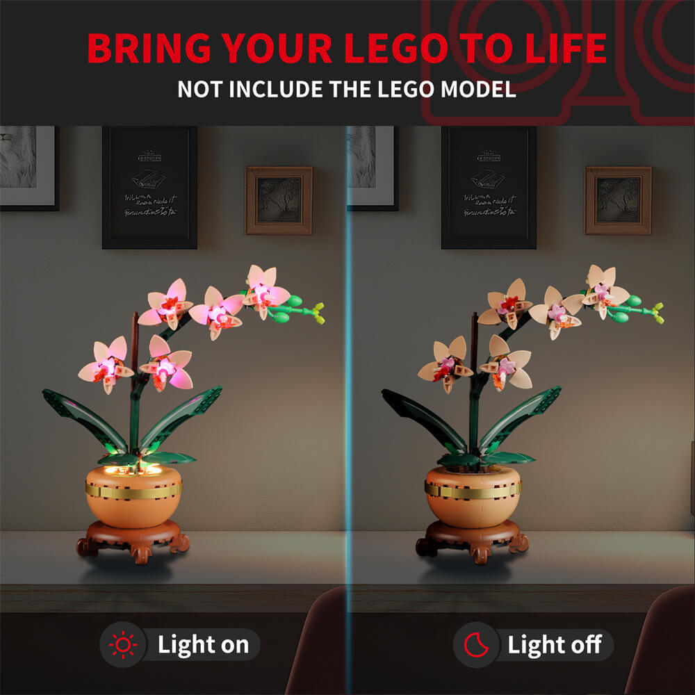 Beleuchtungsset für Mini-Orchideen 10343 - Briksmax 2.0