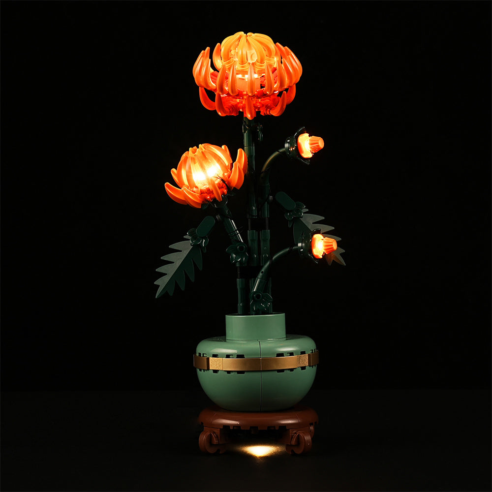 Beleuchtungsset für Chrysantheme 10368-Lightailing