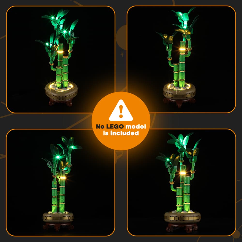 Lightailing Light Kit for Lucky Bamboo 10344 - 2