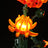 Beleuchtungsset für Chrysantheme 10368-Briksmax