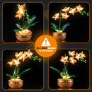Light Kit For Mini Orchid 10343 -Lightailing