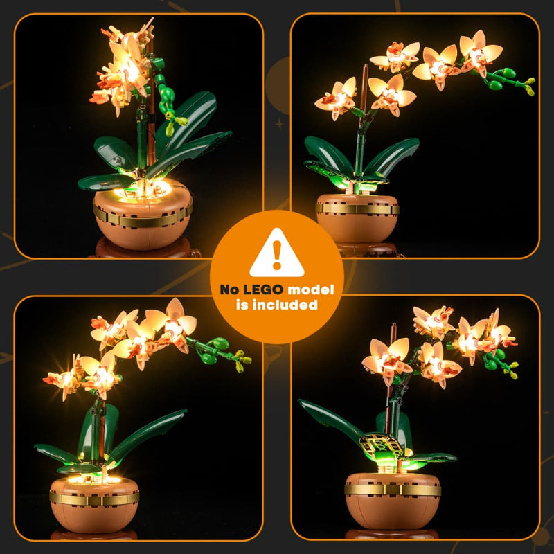 Light Kit For Mini Orchid 10343 -Lightailing