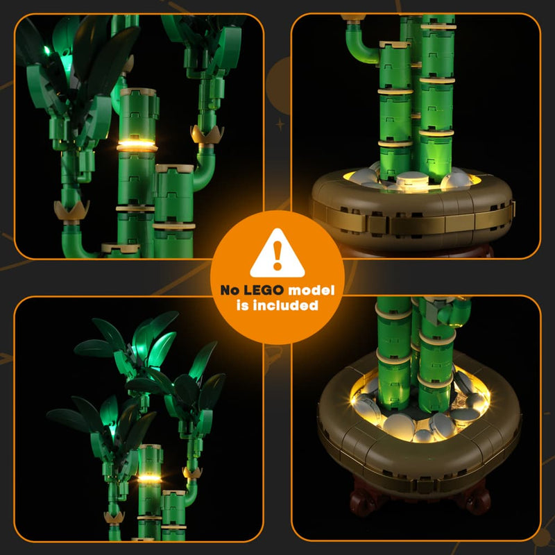 Lightailing Light Kit for Lucky Bamboo 10344 - 3