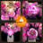 Beleuchtungsset für einen Strauß rosa Rosen 10374- Lightailing
