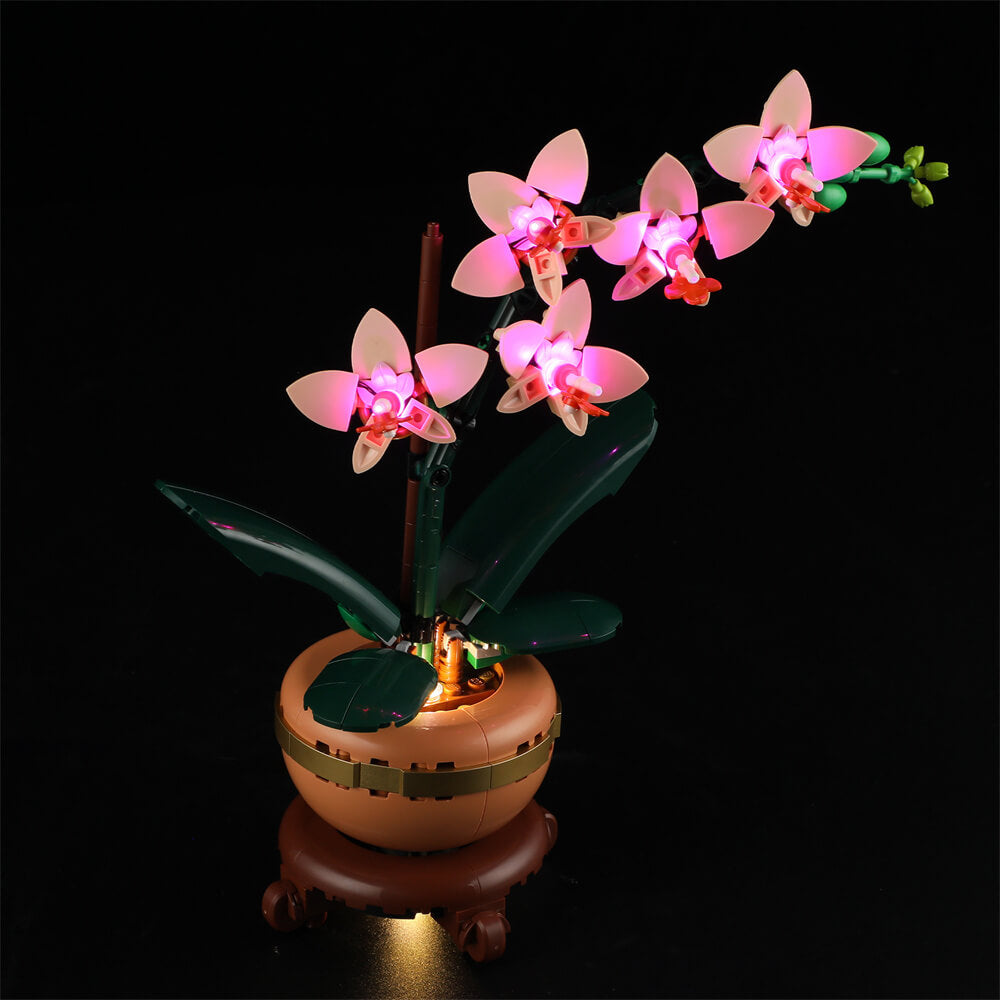 Lightailing Light Kit For LEGO Mini Orchid 10343 - 4