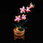 Beleuchtungsset für Mini-Orchideen 10343 - Briksmax 2.0
