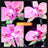 Lightailing Light Kit für Orchidee 10311