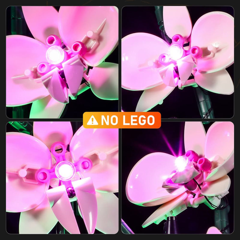 Light Kit For Orchid 10311-Lightailing