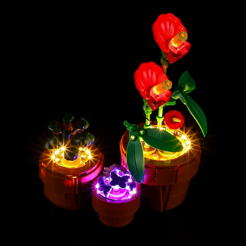 Light Kit For Tiny Plants 10329-Lightailing【Almost Sold Out】