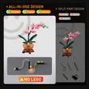 Lichtset für Mini-Orchidee 10343-Lightailing