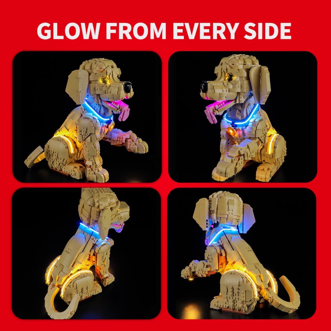 Kit d'éclairage pour chiot Golden Retriever 11384 - Briksmax 2.0
