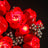 Lichtset für Rosenstrauß 10328-Briksmax