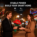 Lichtset für Rosenstrauß 10328-Briksmax