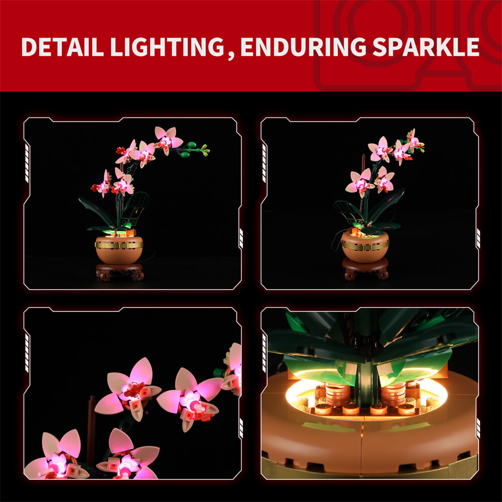 Beleuchtungsset für Mini-Orchideen 10343 - Briksmax 2.0