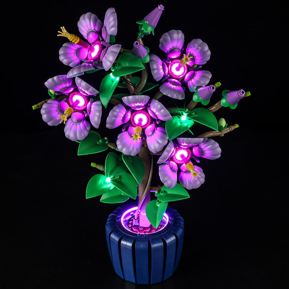 Lightailing Light Kit For LEGO Hibiscus #10372 - 4