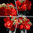 Beleuchtungsset für Bouquet of Roses 10328 - Briksmax 2.0 (Musikversion)