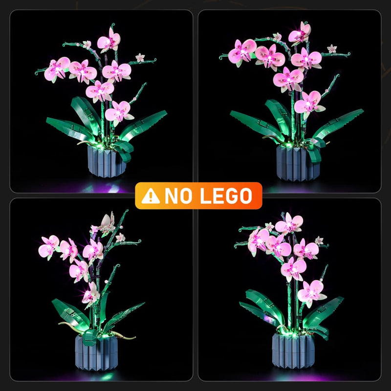 Light Kit For Orchid 10311-Lightailing