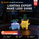 Kit d'éclairage pour plantes heureuses