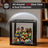Compact 4-Tier Display Case for 72 LEGO® Minifigures (2 Pack)| BRIKSMAX