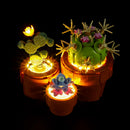 Light Kit For Tiny Plants 10329-Lightailing【Almost Sold Out】