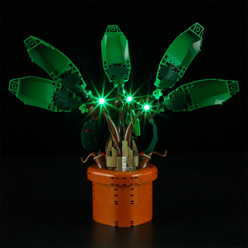Light Kit für Mandrake 76433-Briksmax