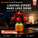 Lichtset für Weihnachtsstern 10370 -Lightailing