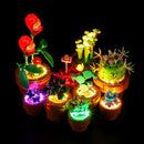 Light Kit For Tiny Plants 10329-Lightailing【Almost Sold Out】