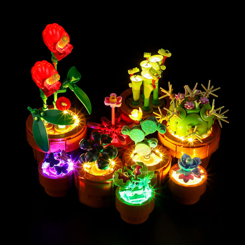 Light Kit For Tiny Plants 10329-Lightailing【Almost Sold Out】
