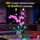 Briksmax Beleuchtungsset für Orchidee 10311