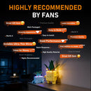 Kit d'éclairage pour plantes heureuses