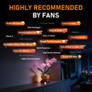 Lichtset für Mini-Orchidee 10343-Lightailing