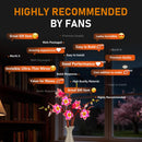 Light Kit for Magnolia Branches 11510 - Lightailing