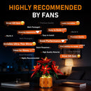 Lichtset für Weihnachtsstern 10370 -Lightailing