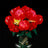 Lichtset für Rosenstrauß 10328-Briksmax