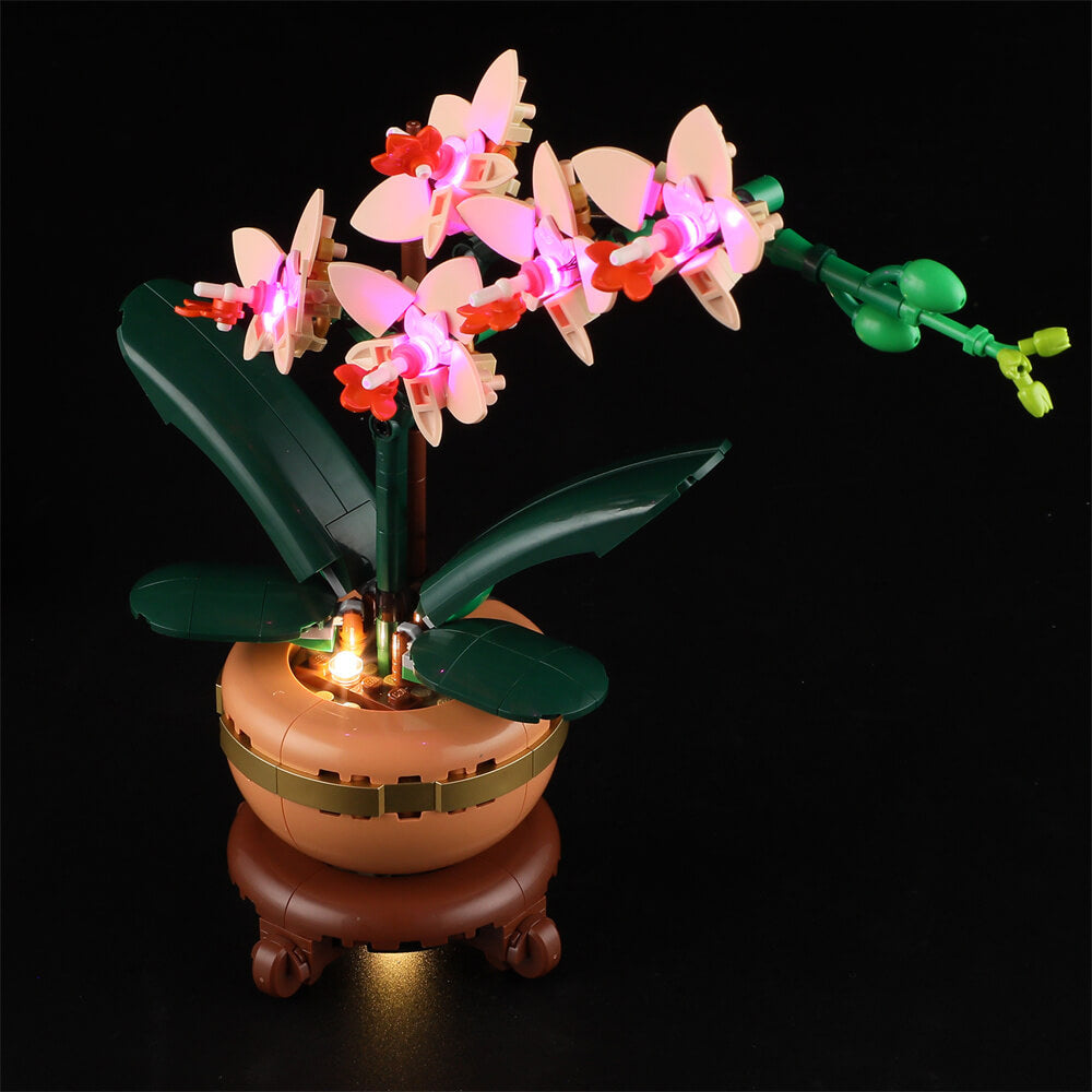 Lightailing Light Kit For LEGO Mini Orchid 10343 - 5