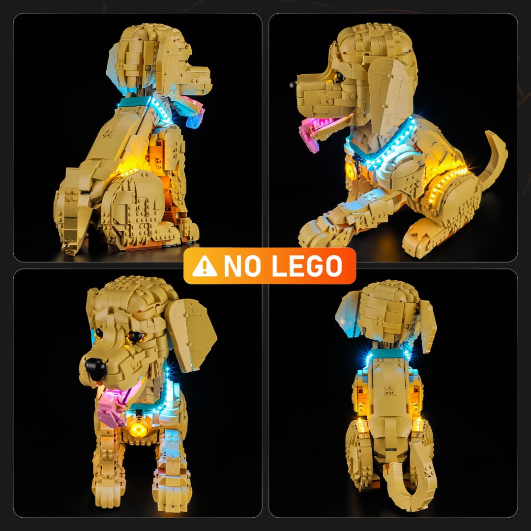 Light Kit for Golden Retriever Puppy 11384- Lightailing
