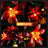 Beleuchtungsset für Poinsettia 10370 -Lightailing