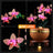 Beleuchtungsset für Mini Orchid 10343-Lightailing