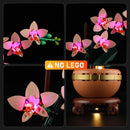 Lichtset für Mini-Orchidee 10343-Lightailing