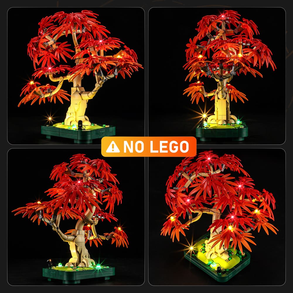 Beleuchtungsset für japanischen Rotahorn-Bonsai 10348-Lightailing