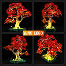 Kit d'éclairage pour bonsaï d'érable rouge japonais