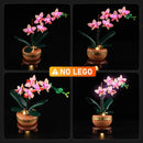 Lichtset für Mini-Orchidee 10343-Lightailing