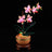 Beleuchtungsset für Mini-Orchideen 10343 - Briksmax 2.0