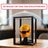Lighted Front-Opening Display Case for LEGO® Models – 19 × 19 × 24 cm
