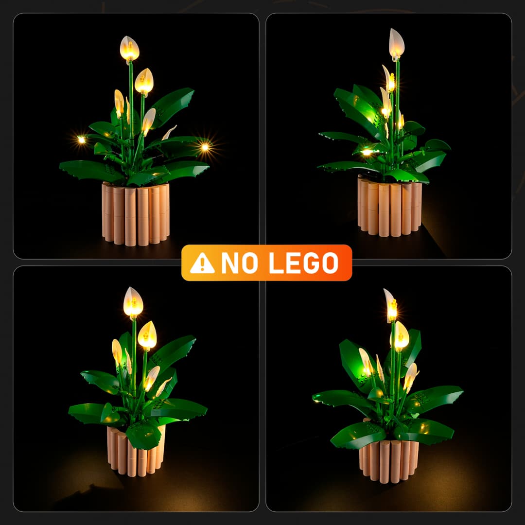 Vorlage