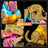 Light Kit for Golden Retriever Puppy 11384- Lightailing
