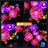 Beleuchtungsset für Blumenwand 11503 – Lightailing